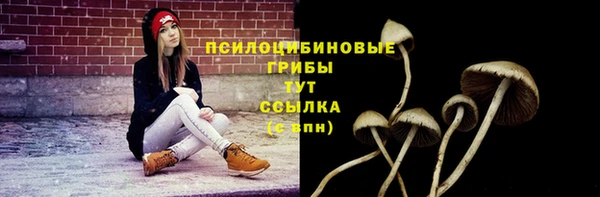 бошки Дмитриев